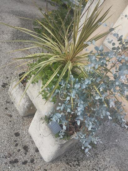 Maison De Village Appartement Rdc Avec Terrasse Gy エクステリア 写真